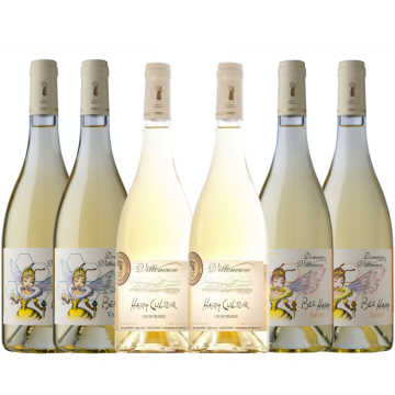 Box of Domaine De Villeneuve White Wines