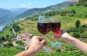 Exploring Portuguese Wines